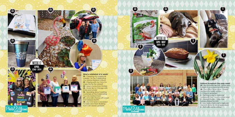 Tammy McEwen - Photos2Albums - A PHOTO A Day - Week 17 & 18