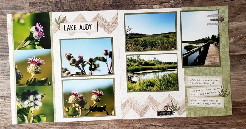 Tammy McEwen, Photos2Albums, Creative Life Scrapbooking, Sketch