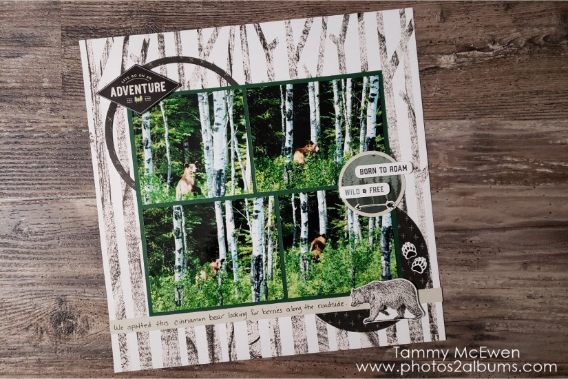 Photos2albums , Creative Memories, Beneath the Pines, Tammy McEwen